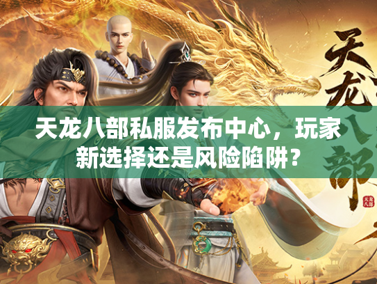 天龙八部私服发布中心，玩家新选择还是风险陷阱？