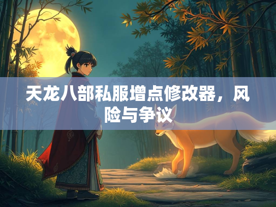 天龙八部私服增点修改器，风险与争议