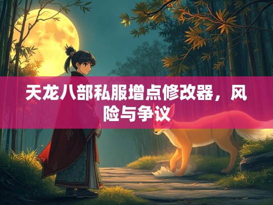 天龙八部私服增点修改器，风险与争议