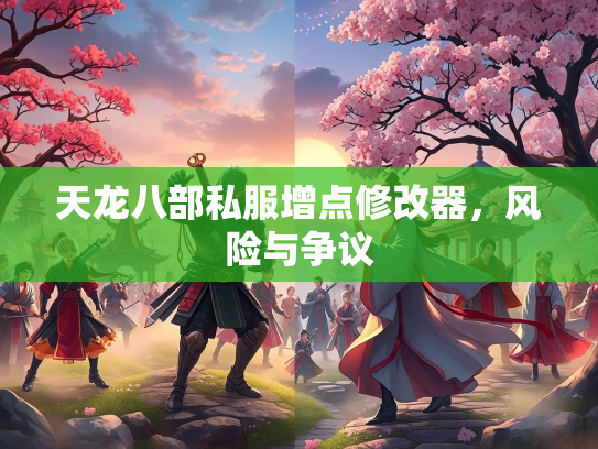 天龙八部私服增点修改器，风险与争议