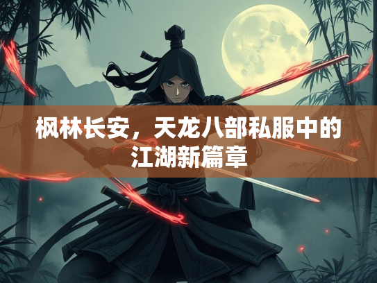 枫林长安，天龙八部私服中的江湖新篇章  第2张