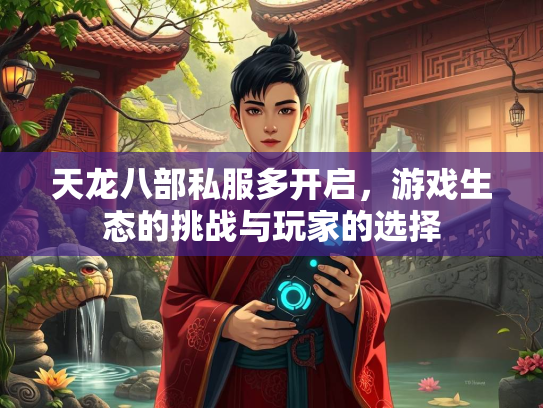 天龙八部私服多开启，游戏生态的挑战与玩家的选择