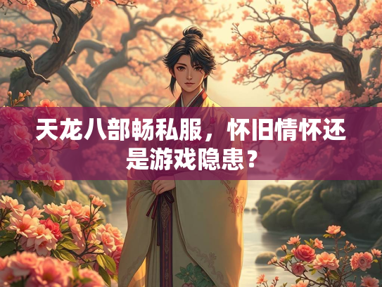 天龙八部畅私服，怀旧情怀还是游戏隐患？  第4张