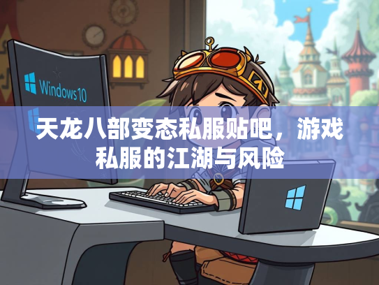天龙八部变态私服贴吧，游戏私服的江湖与风险  第3张