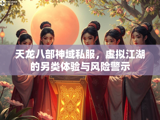 天龙八部神域私服，虚拟江湖的另类体验与风险警示  第3张