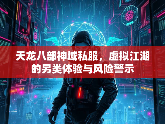 天龙八部神域私服，虚拟江湖的另类体验与风险警示  第5张