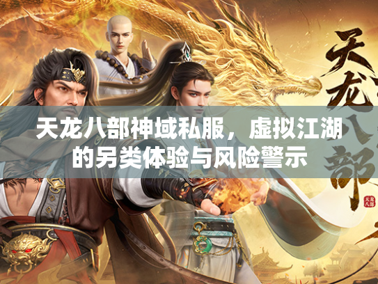 天龙八部神域私服，虚拟江湖的另类体验与风险警示