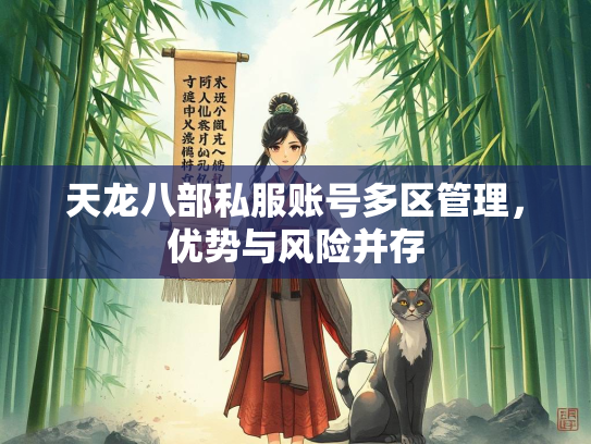 天龙八部私服账号多区管理，优势与风险并存