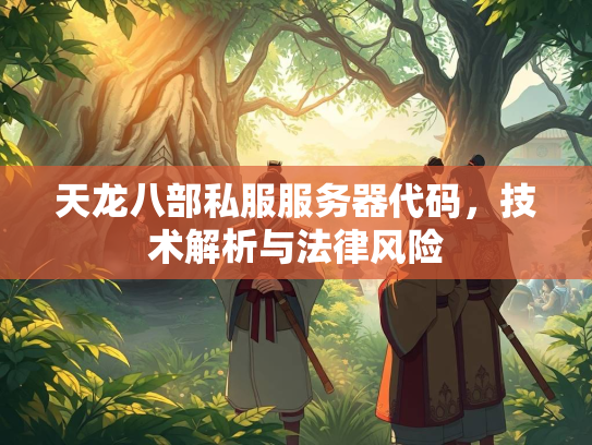 天龙八部私服服务器代码，技术解析与法律风险  第5张