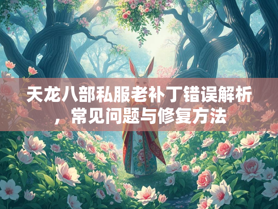 天龙八部私服老补丁错误解析，常见问题与修复方法  第3张