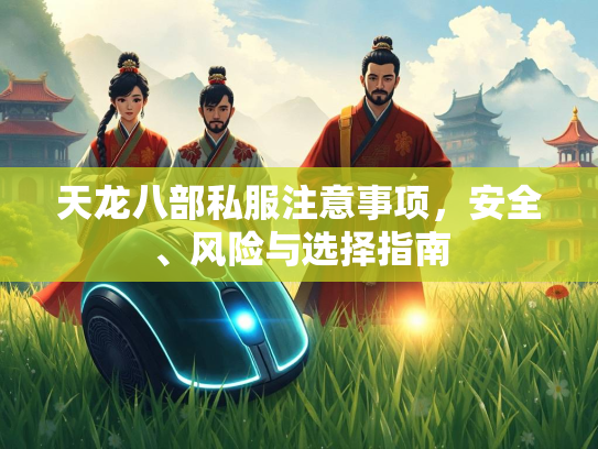 天龙八部私服注意事项，安全、风险与选择指南  第3张