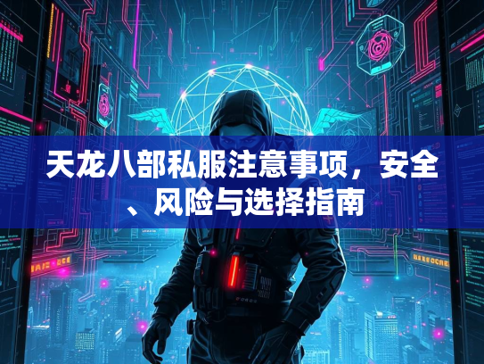 天龙八部私服注意事项，安全、风险与选择指南  第1张