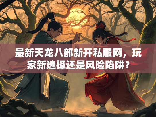 最新天龙八部新开私服网，玩家新选择还是风险陷阱？