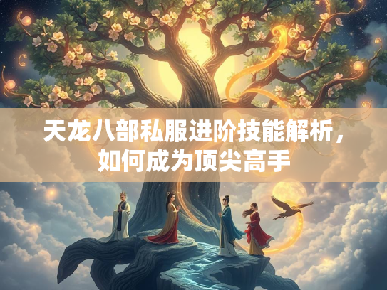 天龙八部私服进阶技能解析，如何成为顶尖高手