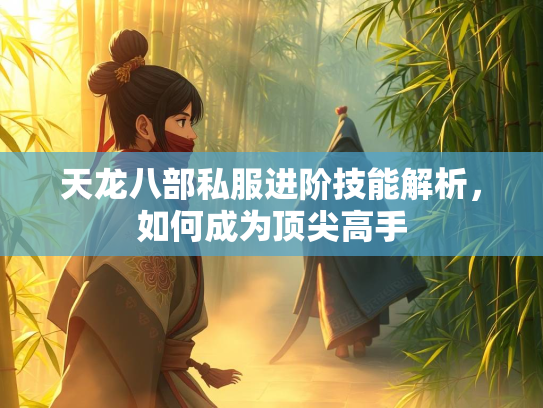天龙八部私服进阶技能解析，如何成为顶尖高手