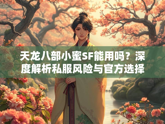 天龙八部小蜜SF能用吗？深度解析私服风险与官方选择  第2张