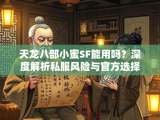 天龙八部小蜜SF能用吗？深度解析私服风险与官方选择  第3张