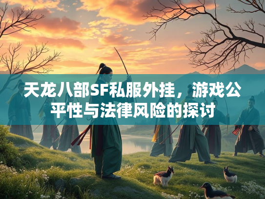 天龙八部SF私服外挂，游戏公平性与法律风险的探讨  第3张