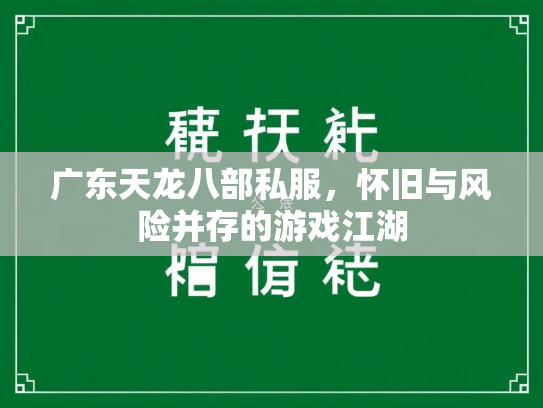 广东天龙八部私服，怀旧与风险并存的游戏江湖  第1张