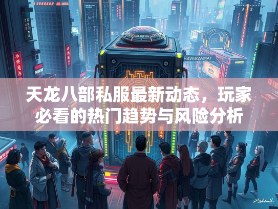 天龙八部私服最新动态，玩家必看的热门趋势与风险分析  第2张