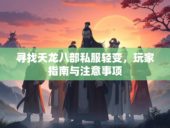 寻找天龙八部私服轻变，玩家指南与注意事项