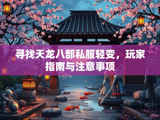 寻找天龙八部私服轻变，玩家指南与注意事项