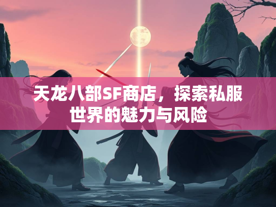 天龙八部SF商店，探索私服世界的魅力与风险  第2张
