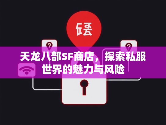 天龙八部SF商店，探索私服世界的魅力与风险  第3张