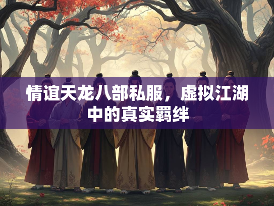 情谊天龙八部私服，虚拟江湖中的真实羁绊  第2张