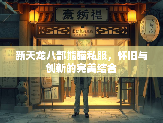 新天龙八部熊猫私服，怀旧与创新的完美结合  第2张