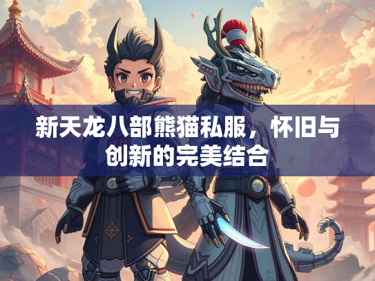 新天龙八部熊猫私服，怀旧与创新的完美结合  第3张