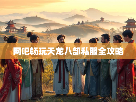 网吧畅玩天龙八部私服全攻略
