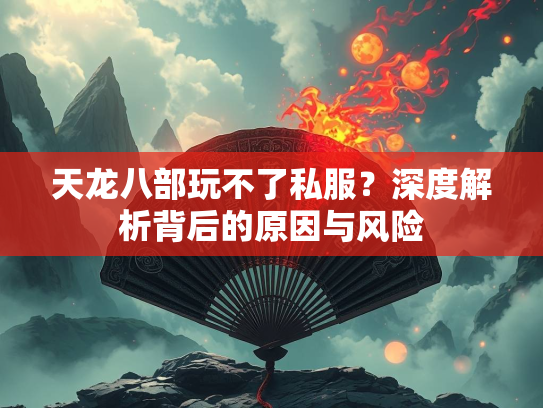 天龙八部玩不了私服？深度解析背后的原因与风险  第2张