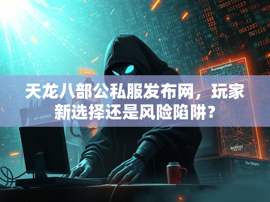 天龙八部公私服发布网，玩家新选择还是风险陷阱？  第3张