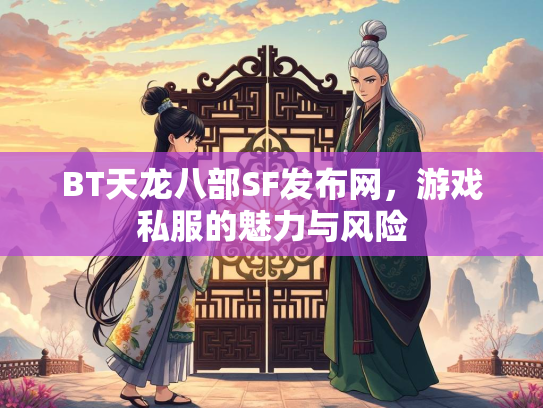 BT天龙八部SF发布网，游戏私服的魅力与风险  第3张