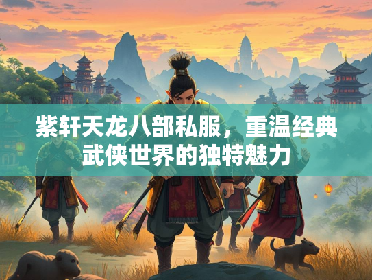 紫轩天龙八部私服，重温经典武侠世界的独特魅力  第3张