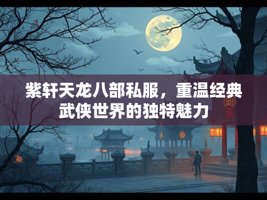 紫轩天龙八部私服，重温经典武侠世界的独特魅力