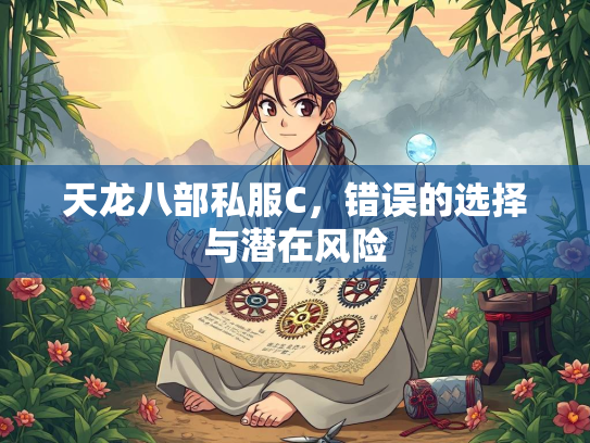 天龙八部私服C，错误的选择与潜在风险