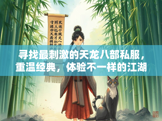 寻找最刺激的天龙八部私服，重温经典，体验不一样的江湖  第2张