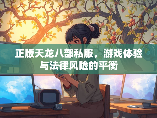 正版天龙八部私服，游戏体验与法律风险的平衡  第2张