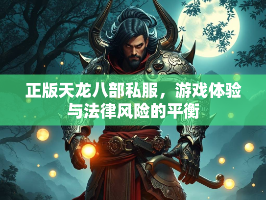 正版天龙八部私服，游戏体验与法律风险的平衡  第3张