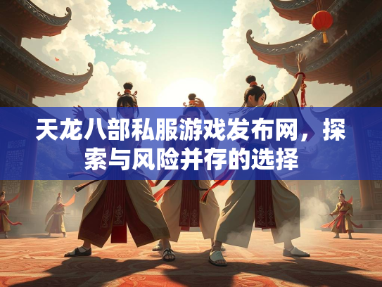 天龙八部私服游戏发布网，探索与风险并存的选择  第2张