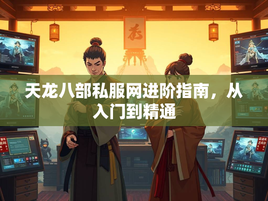 天龙八部私服网进阶指南，从入门到精通