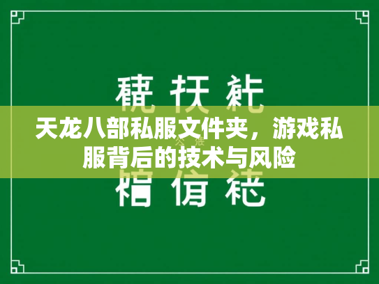 天龙八部私服文件夹，游戏私服背后的技术与风险