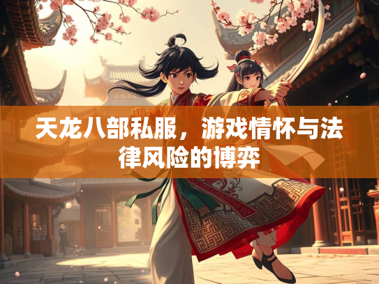 天龙八部私服，游戏情怀与法律风险的博弈  第3张