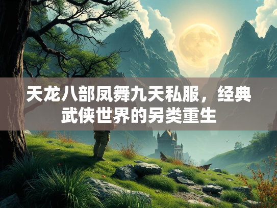 天龙八部凤舞九天私服，经典武侠世界的另类重生  第3张