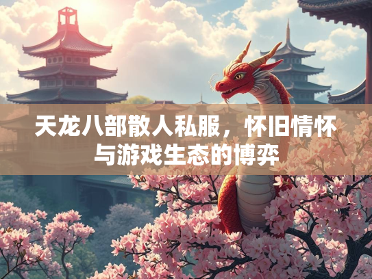 天龙八部散人私服，怀旧情怀与游戏生态的博弈  第2张