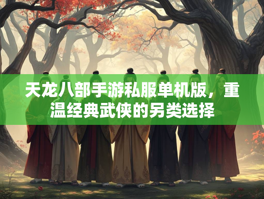 天龙八部手游私服单机版，重温经典武侠的另类选择