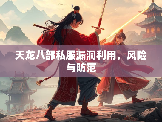 天龙八部私服漏洞利用，风险与防范
