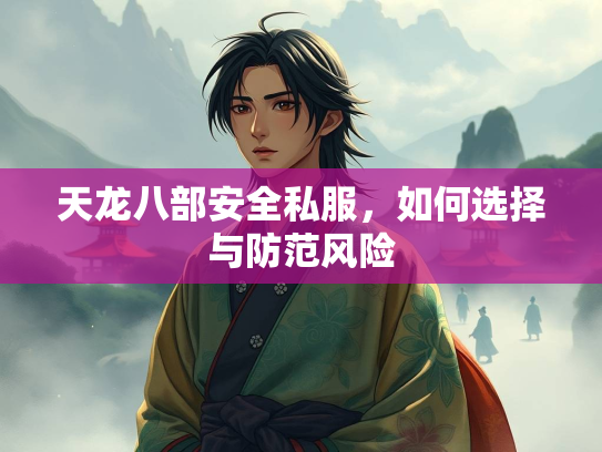 天龙八部安全私服，如何选择与防范风险  第3张